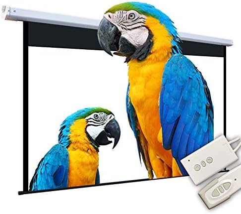 Teerwere Projeksiyon Ekranı 100 İnç Elektrikli projektör ekranı 16 : 9 HD Açık Kapalı Projektör Film Ekranı Film veya Ofis Sunumu