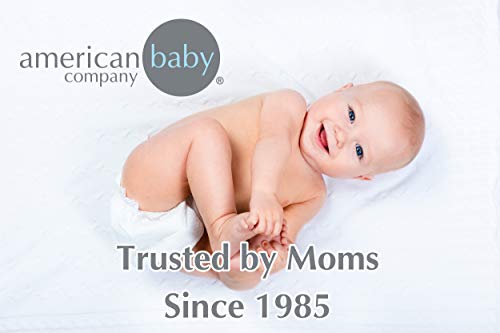 Amerikan Bebek Şirketi Göksel Yumuşak Şönil Gömme Beşik Levha, Lavanta, Kızlar için