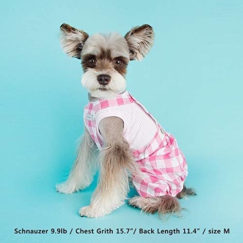 KÜÇÜK COLLİN] Köpek Kontrol Balon Tulum Gömlek Pantolon Giysileri için Prim Yaz Pet Kıyafetler