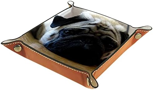 Deri vale Tepsi Çok Amaçlı saklama kutusu Tepsi Organizatör depolama için Kullanılan küçük aksesuarlar, yavru köpek portre pug
