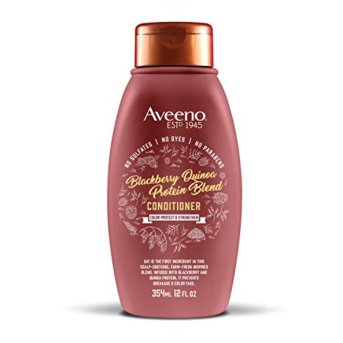 Aveeno Böğürtlen Quinoa Protein Karışımı Sülfatsız Saç Kremi, Renklendirilmiş Saçların Korunması, Günlük Güçlendirme ve Nemlendirici