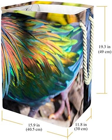 Kuş Güvercin Renkli Tüy 19.3 Büyük Boy Su Geçirmez Katlanabilir Çamaşır Sepeti Kova Depolama Kutusu için Kolları ile, Çocuk Odası,