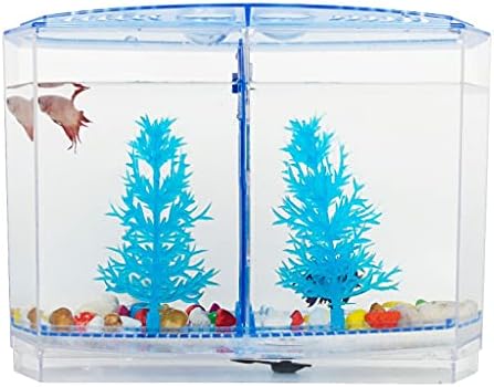 hanxıaoyıshop Balık Kase Masaüstü Şeffaf Plastik Ikili Mücadele Balık Tankı Yaratıcı Kapaklı süs balık Tankı Küçük akvaryum Ofis