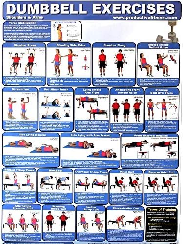 Üretken Fitness Ürünleri Evde Kullanım için Lamine Poster Dambıl Egzersizleri Üst Vücut