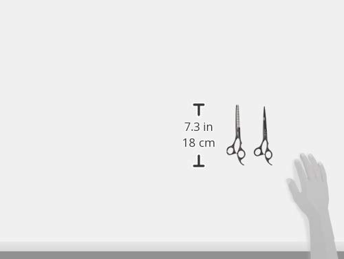 ShearsDirect Siyah Titainium Japon Paslanmaz Çelik Makas Kesme Makası ve Diş Tiner, 6.0 İnç, 4.4 Ons