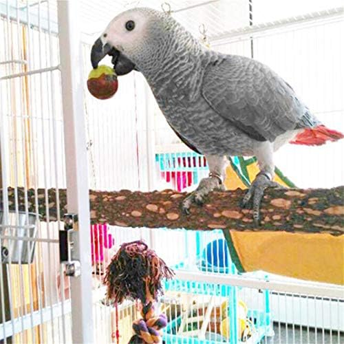Aırlove Kuş Levrek Doğa Ahşap Dikenli Papağan Standı Oyuncak Platformu Pençe Taşlama Sopa Küçük Orta Kuşlar için Parakeet Aksesuar