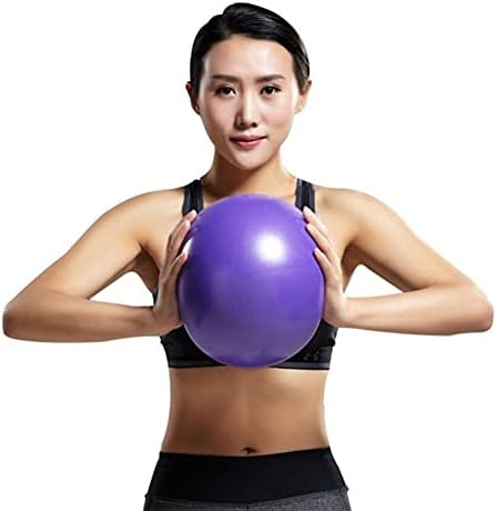 Renococo 9.8 İnç Egzersiz Topu Küçük Pilates Topları İğne Pompası Kaymaz Şişme Yoga Topu Çekirdek Eğitim, Fizik Tedavi, Fitness