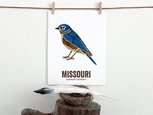 Missouri Eyalet Kuşu, Doğa sanatı, Açık hava sanatı, Vintage Harita sanatı, Sanat baskısı, Duvar dekoru, Rustik Kreş, Harita