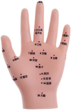 Milageto 2 Parça 14 cm İnsan Mesaj Eller Modeli ile Akupunktur Noktası