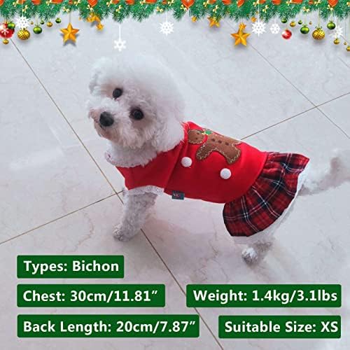 Tengzhı Sevimli Dantel Pet Elbise Köpek Giysileri Köpek kedi ıçin Sonbahar Kış Yeni Yıl Noel Köpek Etek Zencefilli Adam Kırmızı