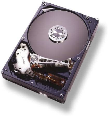 Hitachi 07N9673 40GB Sabit Disk