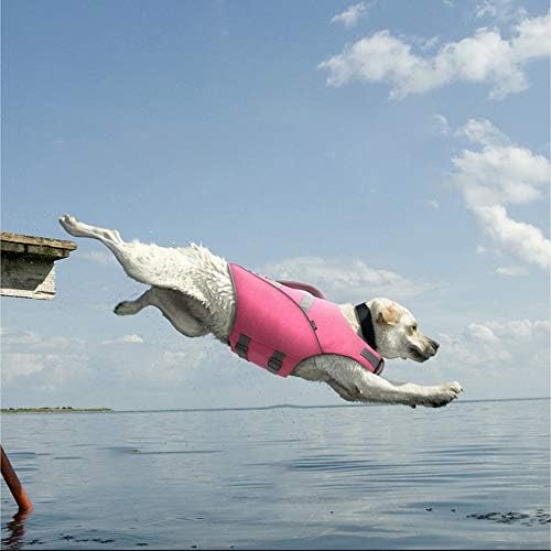 LXYDD Köpek Mayo Pet Can Yeleği Pet Giysi Tatil Seyahat Teddy Büyük ve Küçük Köpek Köpek Emniyet Giyim Golden Retriever Samoyed